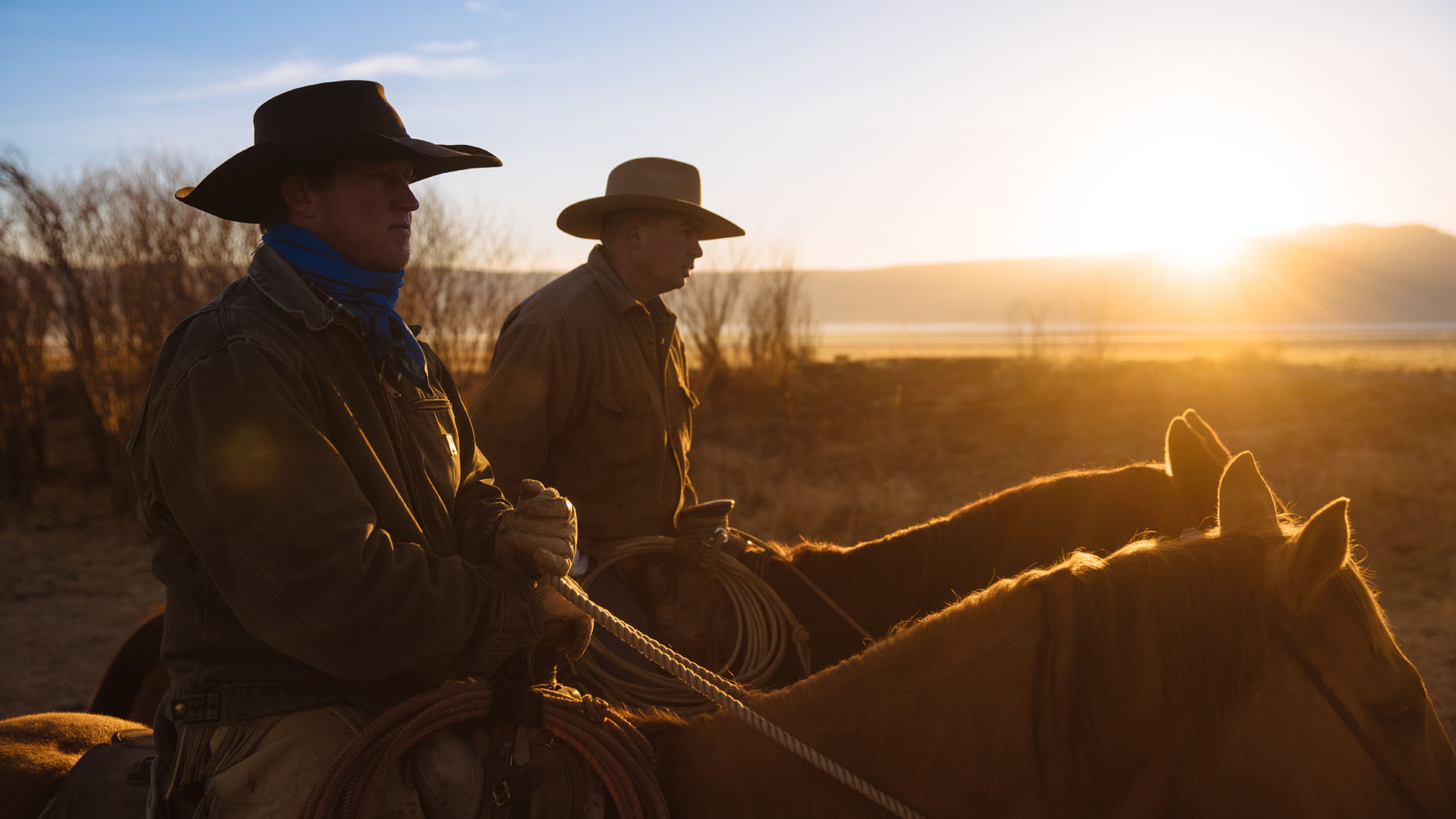 Ranchers and their cattle in Northern California in the morning
